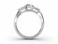 through image ring SAW09 
